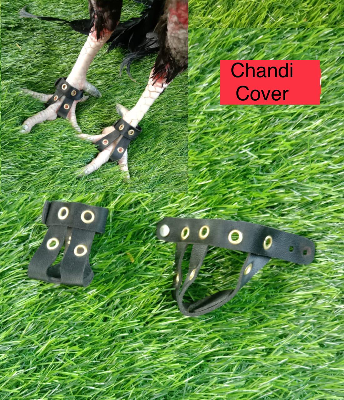 Chandi Cover
