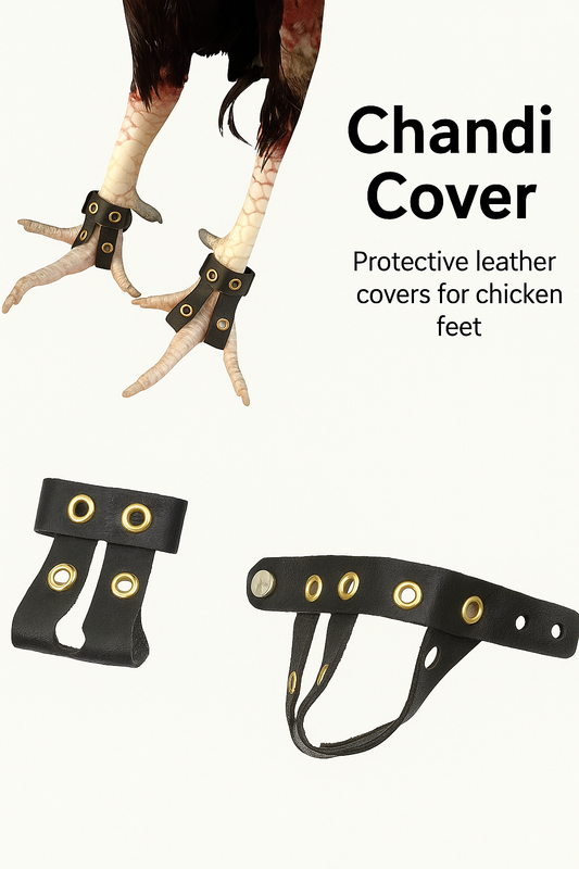 Chandi Cover
